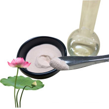 Hot Sell 5% Water Soluble Lotus Leaf Extract Powder Nuciferine